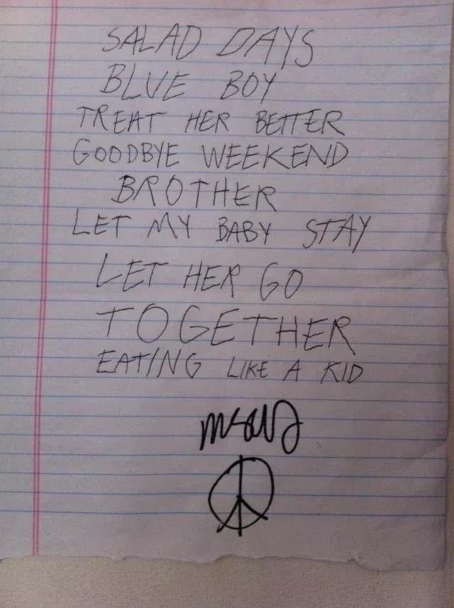 Salad Days Album Release Show - Other Music, New York 6